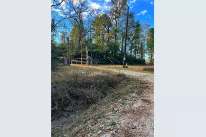 1405 May Drive, Onalaska, TX 77360 - Photo 3