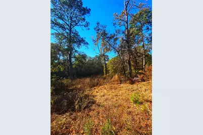 1405 May Drive, Onalaska, TX 77360 - Photo 27