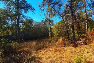 1405 May Dr, Onalaska, TX 77360 - Photo 27