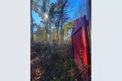 1405 May Drive, Onalaska, TX 77360 - Photo 21