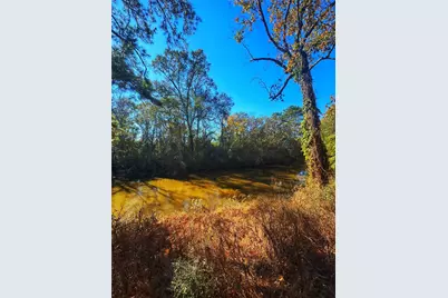 1405 May Drive, Onalaska, TX 77360 - Photo 17