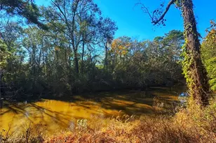 1405 May Dr, Onalaska, TX 77360 - Photo 17