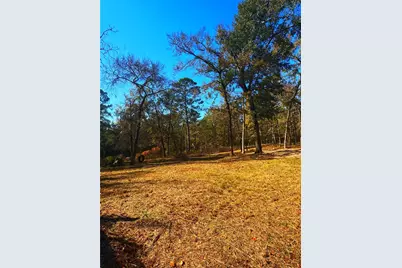 1405 May Drive, Onalaska, TX 77360 - Photo 25