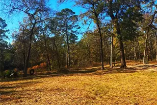 1405 May Dr, Onalaska, TX 77360 - Photo 25