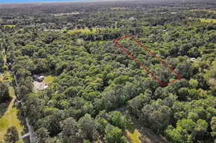 15672 Ben Wiggins, Conroe, TX 77303 - Photo 1