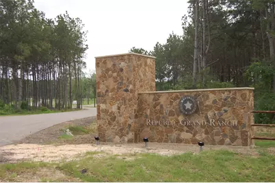 15674 Forest Grove Drive, Willis, TX 77378 - Photo 5