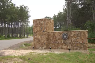 15674 Frst Grv Dr, Willis, TX 77378 - Photo 5