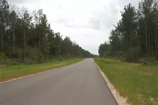 15674 Frst Grv Dr, Willis, TX 77378 - Photo 3