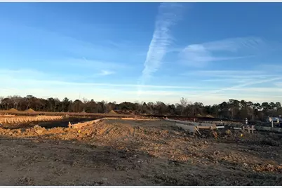 12022 Curlin Drive, Willis, TX 77318 - Photo 19