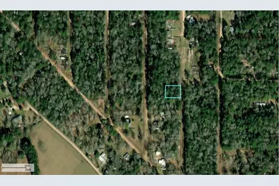 254 Bobby Baer Road, Livingston, TX 77351 - Photo 3