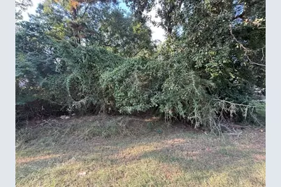 6910 Woodland Oaks, Magnolia, TX 77354 - Photo 5