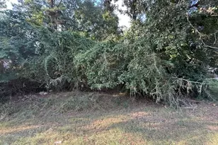 6910 Woodland Oaks, Magnolia, TX 77354 - Photo 5