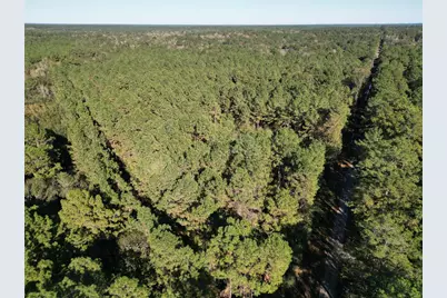 0 County Road 2125, Cleveland, TX 77327 - Photo 7