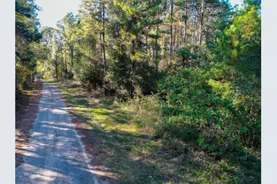 0 County Road 2125, Cleveland, TX 77327 - Photo 11