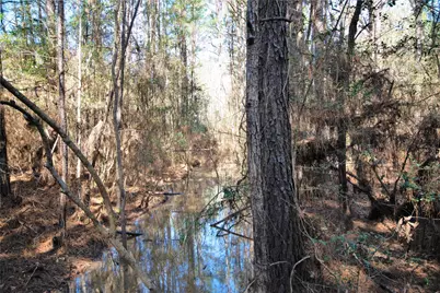 20122 Meadow Lake Road, Cleveland, TX 77328 - Photo 19