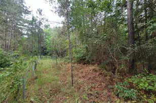 20122 Meadow Lake Rd, Cleveland, TX 77328 - Photo 17