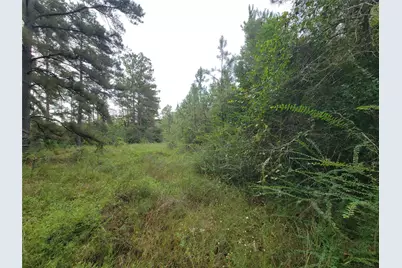 20122 Meadow Lake Road, Cleveland, TX 77328 - Photo 25