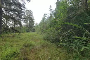 20122 Meadow Lake Rd, Cleveland, TX 77328 - Photo 25