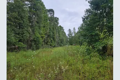 20122 Meadow Lake Road, Cleveland, TX 77328 - Photo 3