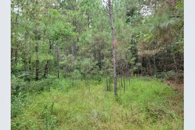 20122 Meadow Lake Road, Cleveland, TX 77328 - Photo 35