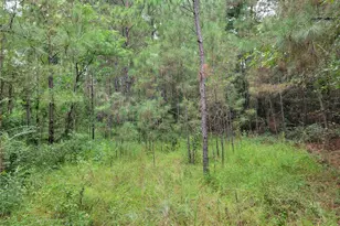 20122 Meadow Lake Rd, Cleveland, TX 77328 - Photo 35