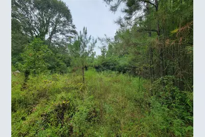 20122 Meadow Lake Road, Cleveland, TX 77328 - Photo 45