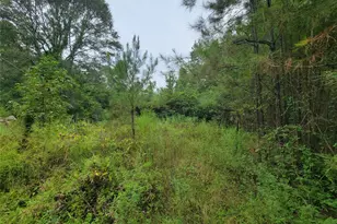 20122 Meadow Lake Rd, Cleveland, TX 77328 - Photo 45