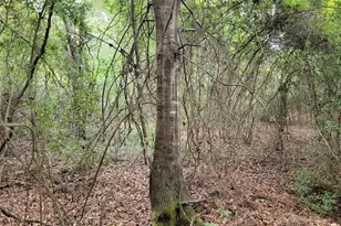 20122 Meadow Lake Rd, Cleveland, TX 77328 - Photo 37