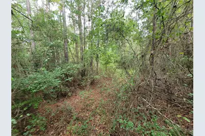 20122 Meadow Lake Road, Cleveland, TX 77328 - Photo 31