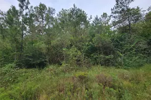 20122 Meadow Lake Rd, Cleveland, TX 77328 - Photo 27