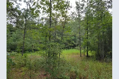 20122 Meadow Lake Road, Cleveland, TX 77328 - Photo 7