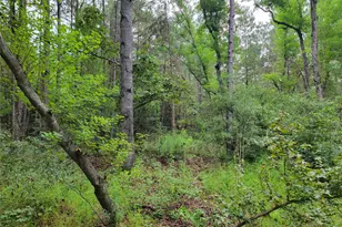 20122 Meadow Lake Rd, Cleveland, TX 77328 - Photo 41