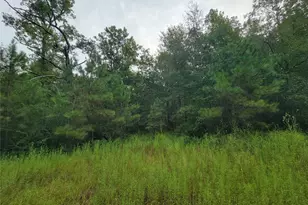 20122 Meadow Lake Rd, Cleveland, TX 77328 - Photo 9