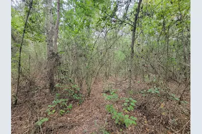 20122 Meadow Lake Road, Cleveland, TX 77328 - Photo 21