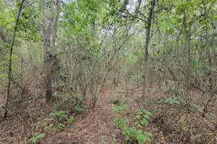 20122 Meadow Lake Rd, Cleveland, TX 77328 - Photo 21