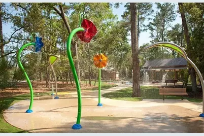 32131 Waterlily View Court, Hockley, TX 77447 - Photo 19