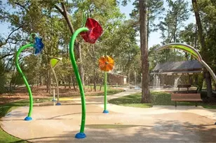 32131 Waterlily Vw Ct, Hockley, TX 77447 - Photo 19