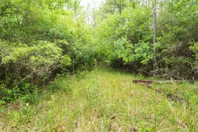 Tbd Fm 770, Kountze, TX 77625 - Photo 9