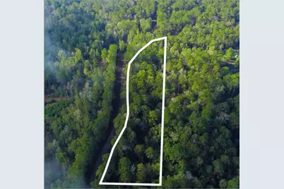 - Lakeview Estates Drive, Coldspring, TX 77331 - Photo 7