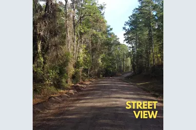 - Lakeview Estates Drive, Coldspring, TX 77331 - Photo 9