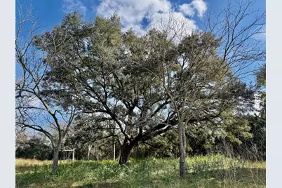 850 County Road 149 Off Tx 77511, Alvin, TX 77511 - Photo 5