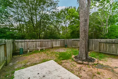 246 W Stedhill Loop, The Woodlands, TX 77384 - Photo 29
