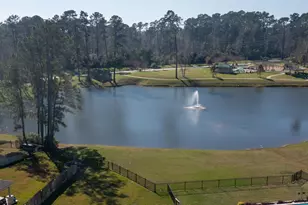 253 Stalwart Hl Trl, Magnolia, TX 77354 - Photo 47