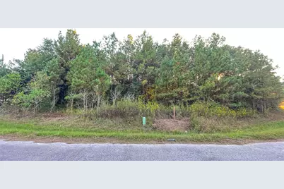 0 Road 3413, Cleveland, TX 77327 - Photo 3