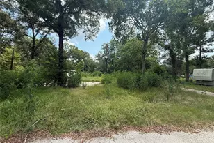 8455 FM1409, Dayton, TX 77535 - Photo 1