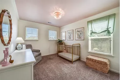 29111 Parker Trace Drive, Fulshear, TX 77441 - Photo 25