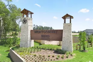 806 High Mesa, Montgomery, TX 77356 - Photo 19