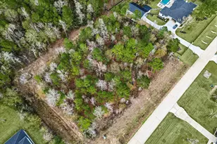 7511 Bingham Dr, Montgomery, TX 77316 - Photo 3