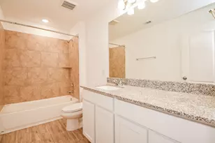 31306 Black Frst Xing, Fulshear, TX 77441 - Photo 23