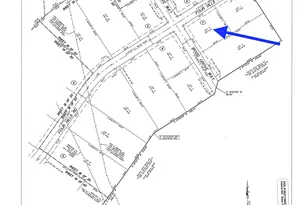 15794 Wood Grv Wy, Willis, TX 77378 - Photo 3